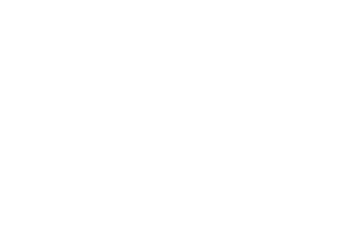 Robert La Roche