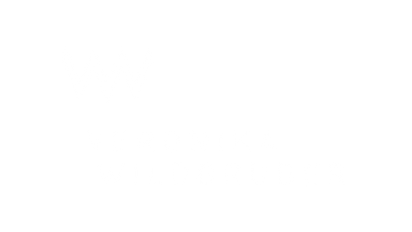 Veronika Wildgruber